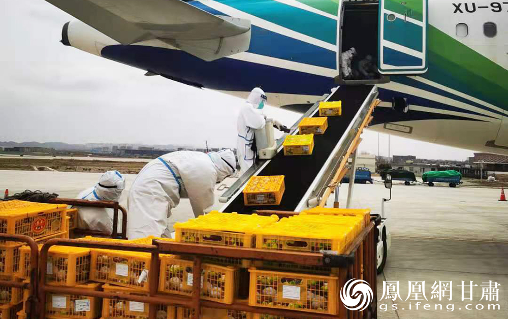 进口水果的包机抵达兰州中川国际机场 兰州新区商投集团供图