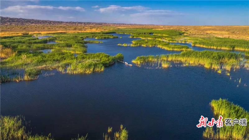 老师兔管护站湿地