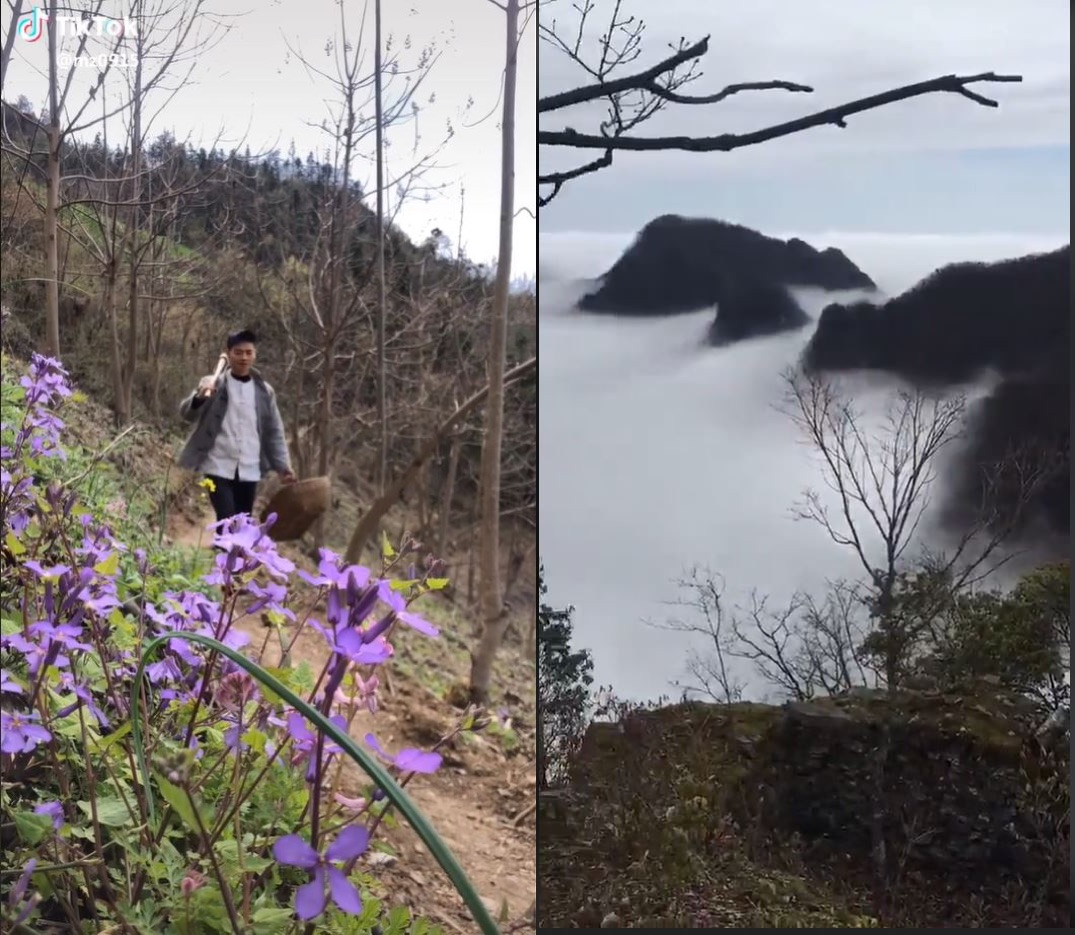 TikTok中国乡野美食视频中展示的自然美景