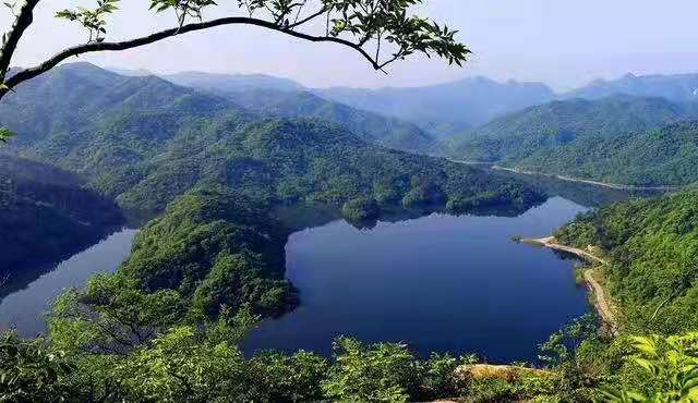 五一桐柏游:山水赏花游乐美食,世外桃源嗨起来