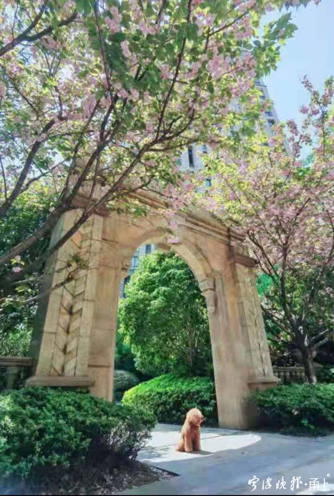 银雪飞鹏 印象外滩.jpg