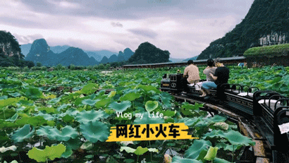 图自小红书博主 Sharon.S