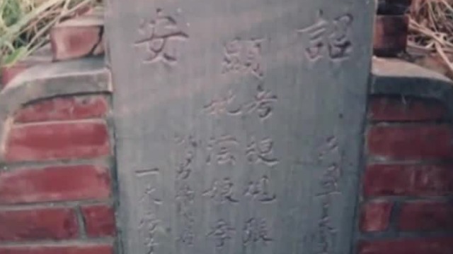 台湾共产党人张志忠：自己与妻子相继被执行死刑，儿子服毒自杀