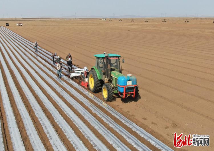 2021年4月20日，工人操作机械设备在河北省张家口市塞北管理区农业基地为刚播种的胡萝卜覆膜(无人机照片)。通讯员 武殿森 摄影报道