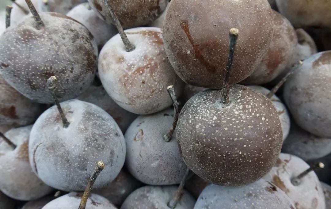 在兰州，不得不吃的8种特色小吃！