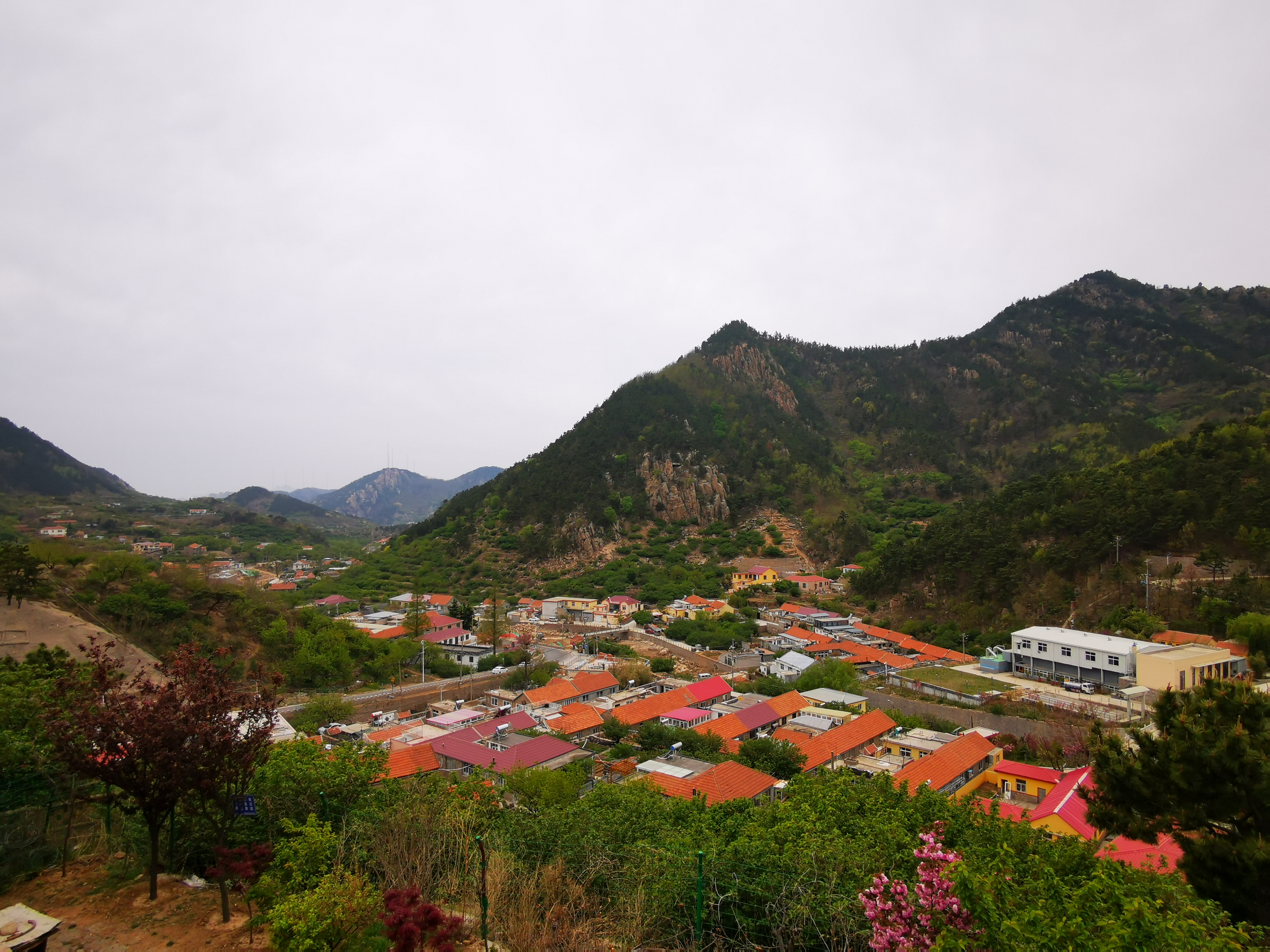 春之约沙子口是个好地方走进大石画家村