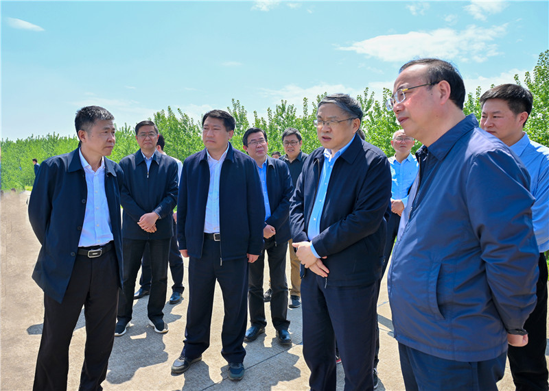 长江委主任马建华赴安庆开展汛前检查