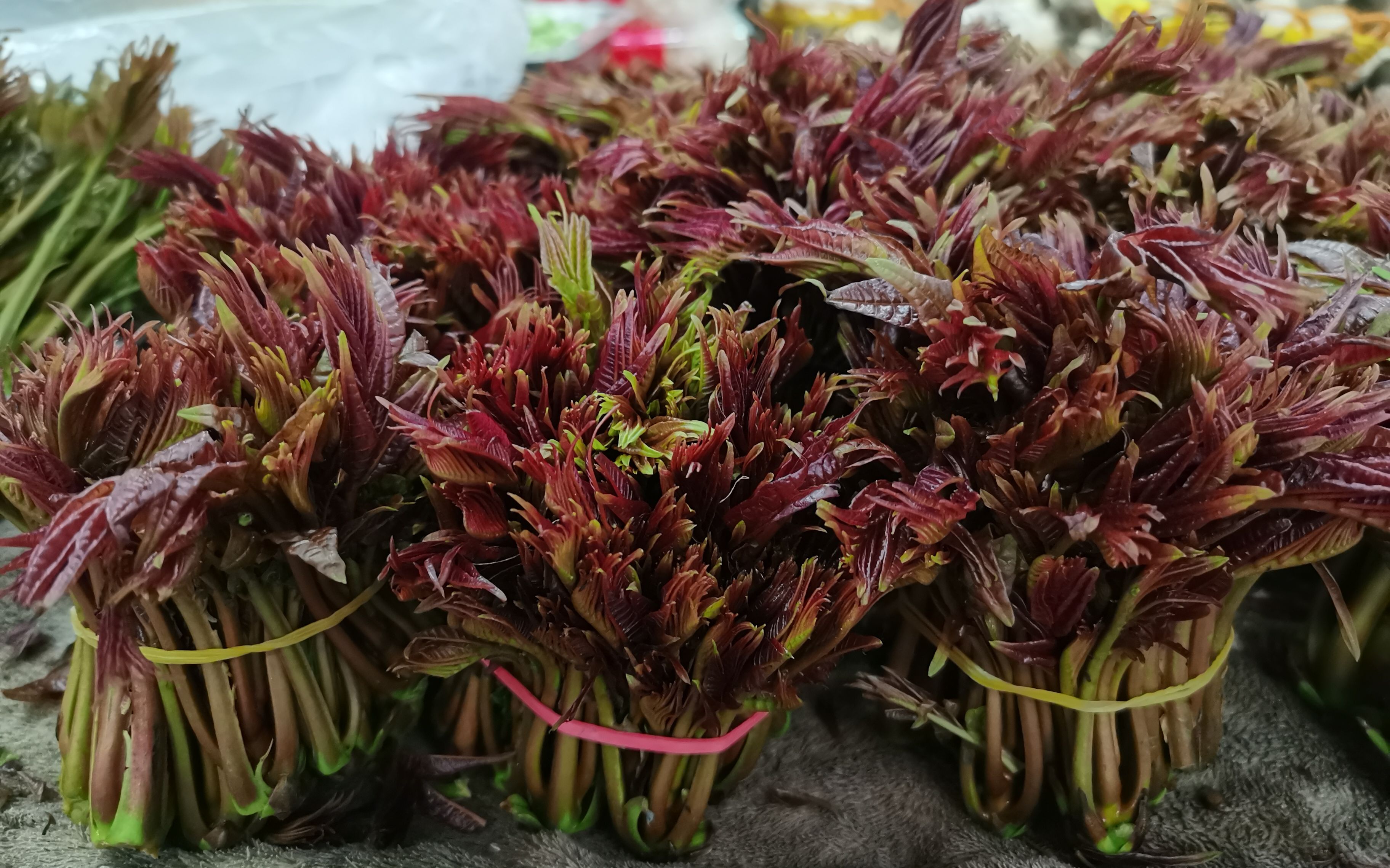 谷雨时节这些春菜不能错过