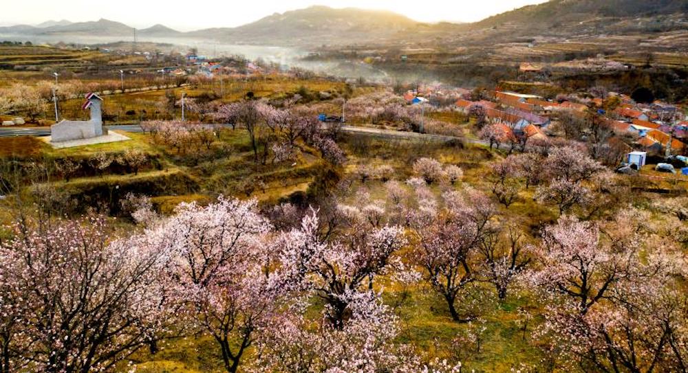 乡村影视带火这个小山村