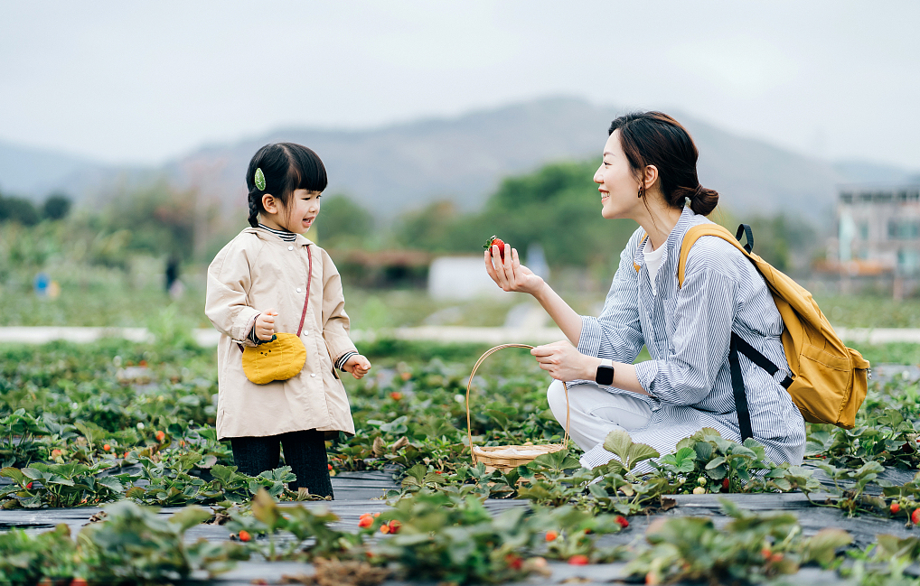 摘草莓发朋友圈图片