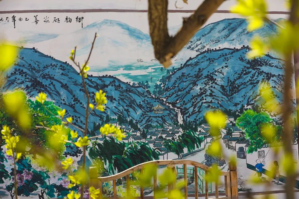 在这最美的季节，岂可辜负那一春梨花白？