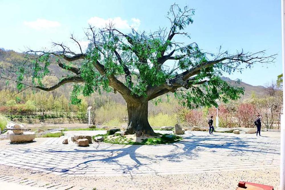 乡村影视带火这个小山村