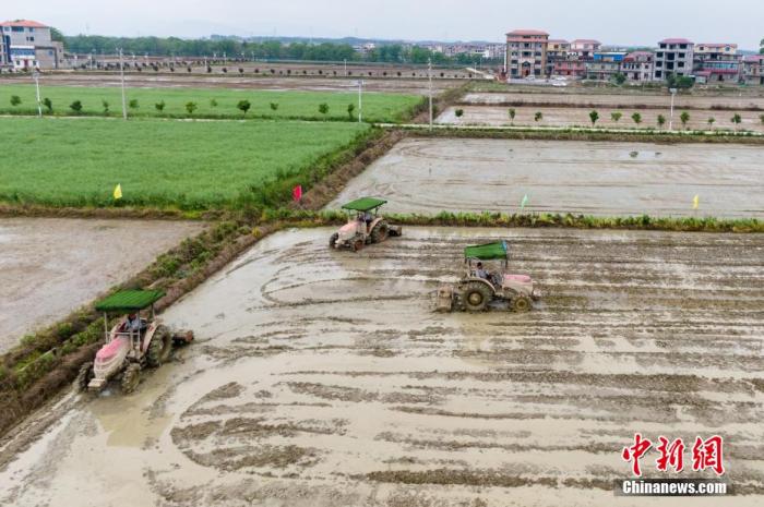 资料图：各类农机设备正在稻田里进行机械化作业。 刘力鑫 摄