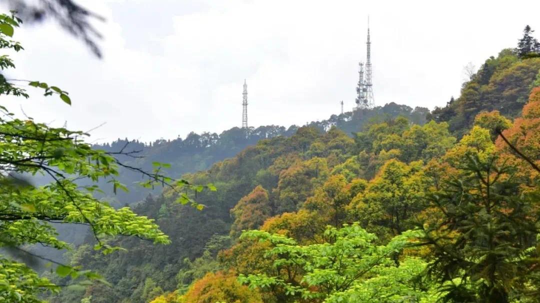 四月的江津西湖駱騋山處處是美景