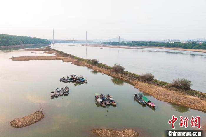 图为航拍章江、贡江汇合处以及两河交汇形成的赣江，大片河床裸露，渔船停靠在江面。　刘力鑫 摄