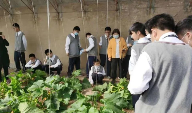 郑州市第七十一中学“探寻黄河文化，守护生态家园”黄河研学活动