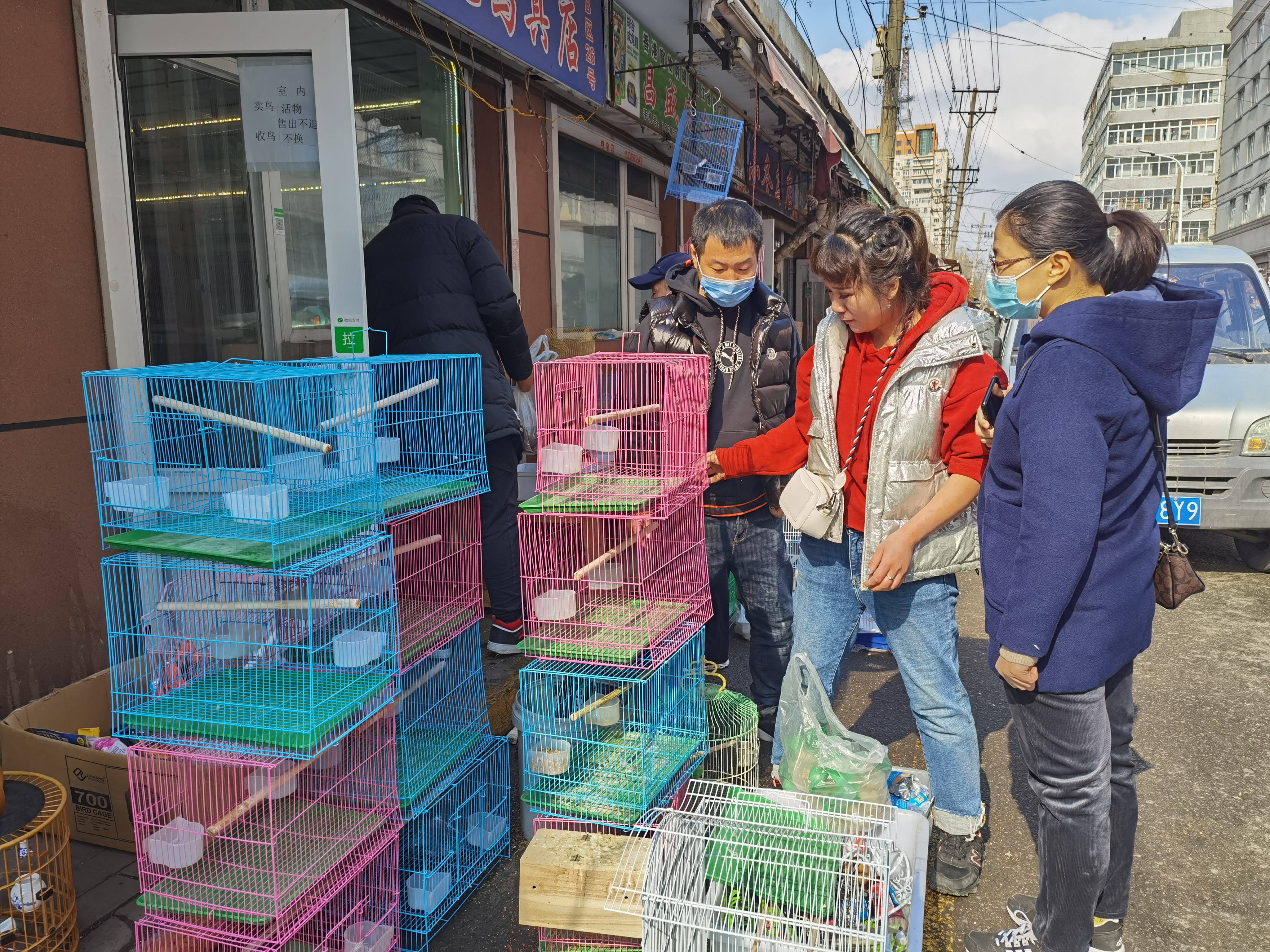 钱塘街花鸟鱼市场的最后一天老哈尔滨的记忆:80年代去换鱼,90年代养