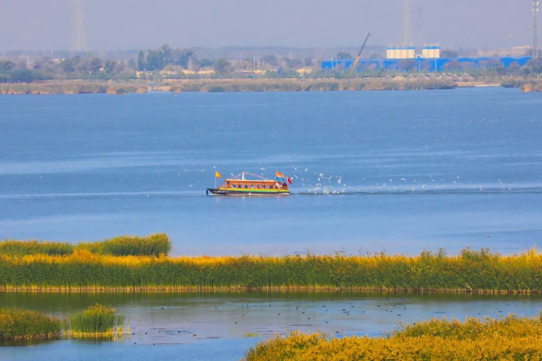 ▲供图／沙湖旅游景区