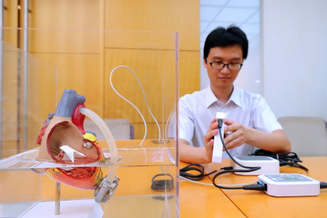 助力AI练就“智慧眼”