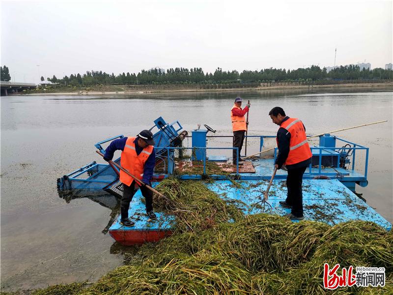 为舟曲下一步的灾后沉建造造了要求2021年5月6日(3)