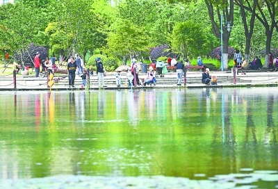 4月28日，洪山区关山公园繁花似锦，吸引众多市民来此踏青游玩。