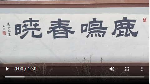 奋斗百年路 启航新征程 同心奔小康丨“杨姐”家的致富“鹿”