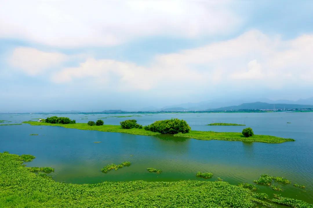 潼湖湿地