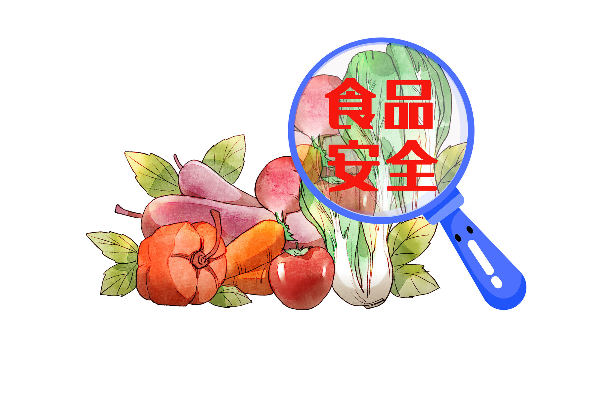天宇食品-食品安全活动海报设计|平面|海报|JunielX夏小姐 - 原创作品 - 站酷 (ZCOOL)