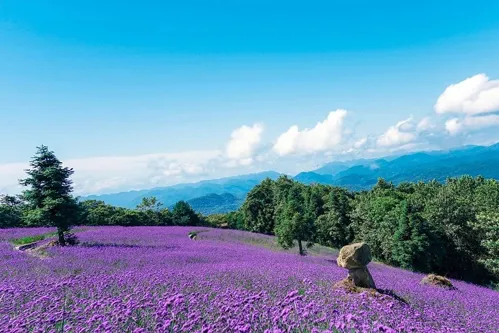 五一大放“价” 恩施州这些景区优惠多多活动满满