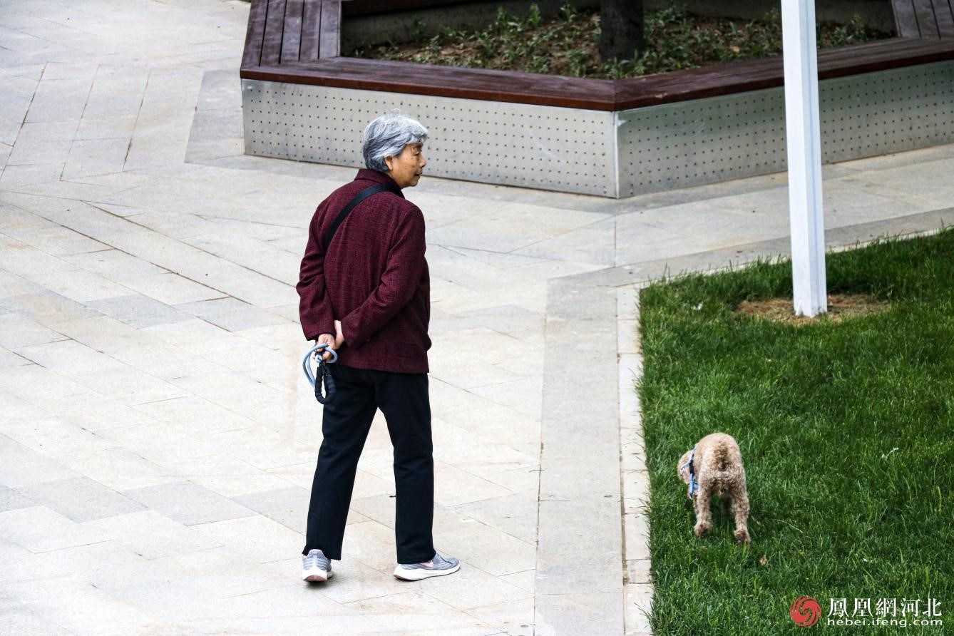 启思园中,市民前来遛弯.