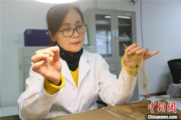 据赵喜梅介绍，修复文物纺织品所用的绉丝纱比头发丝还细。　高展 摄