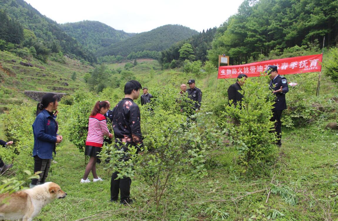 江西省林业局：我为群众办实事 件件有着落