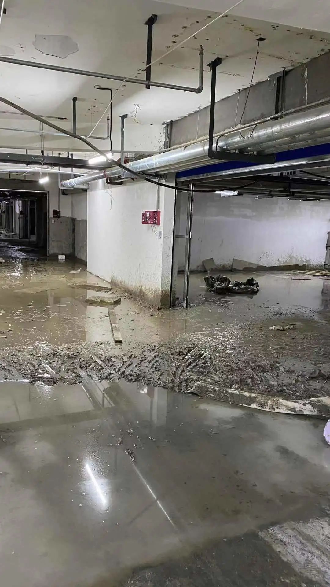 地面开裂,地库渗水…合肥丽丰璞羽山洋房业主爆发集体维权 ——凤凰网