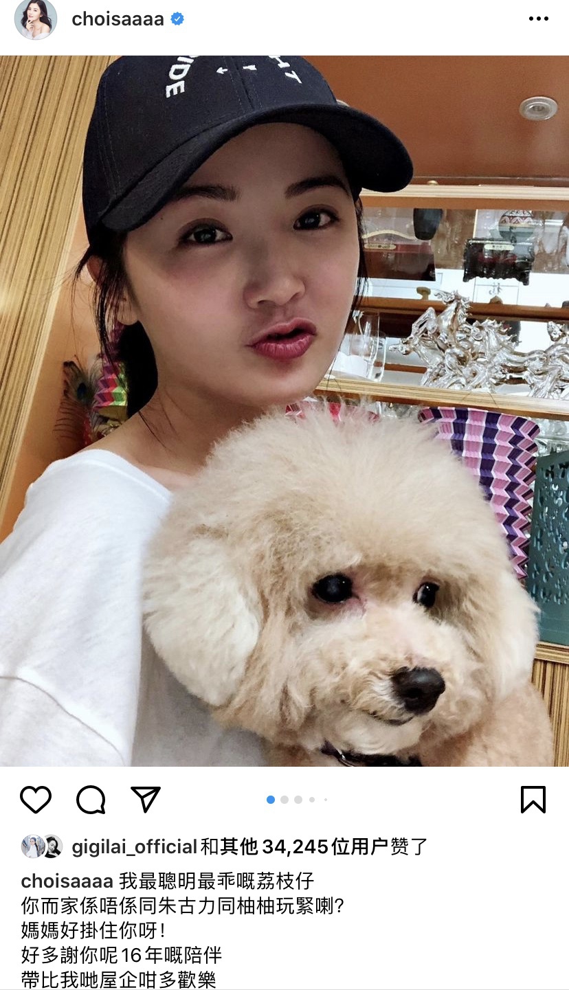 半月内两只爱犬接连去世，阿Sa心痛发文：妈妈好想念你啊