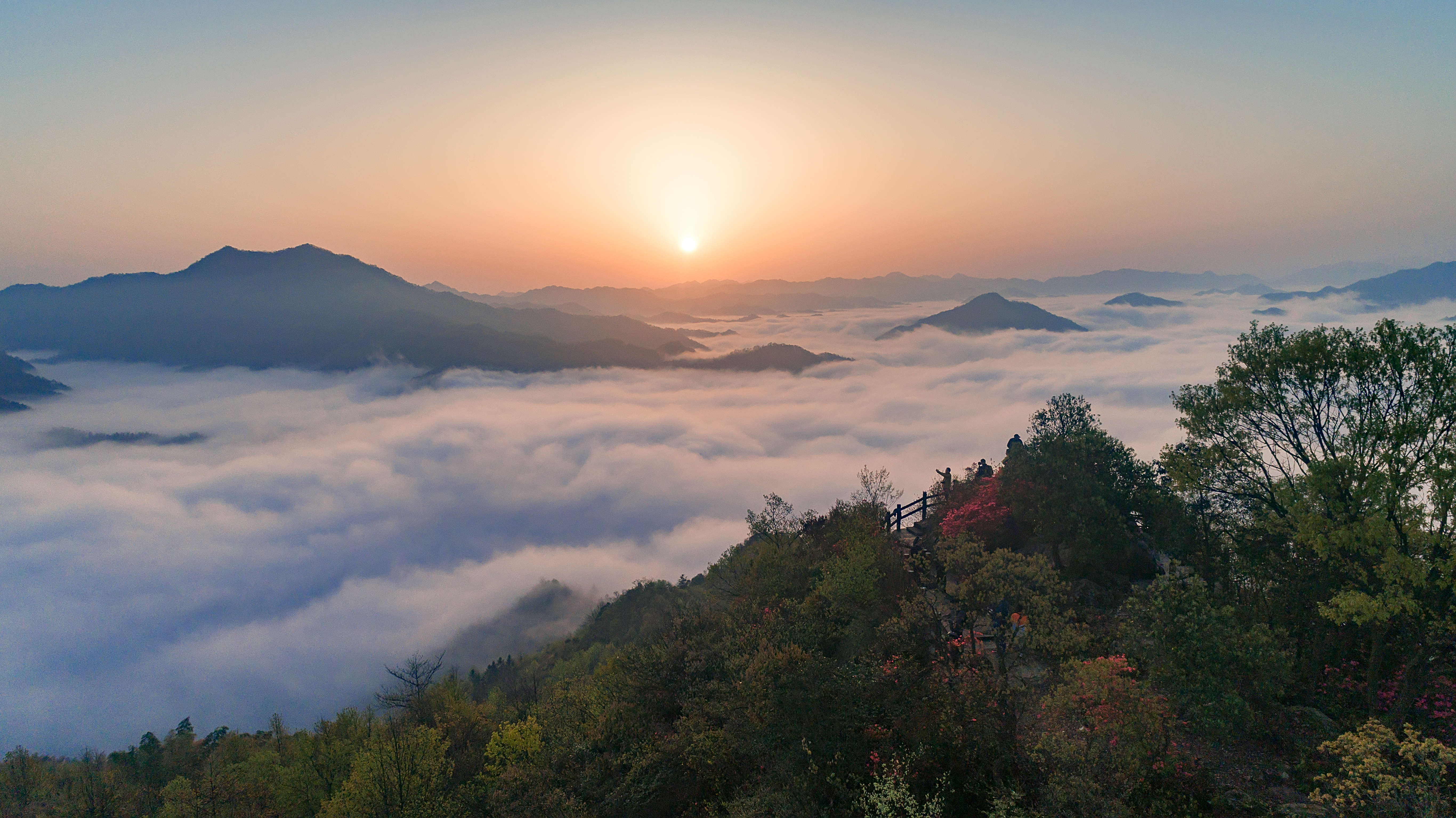 霍山石斛:一株秀出满园春