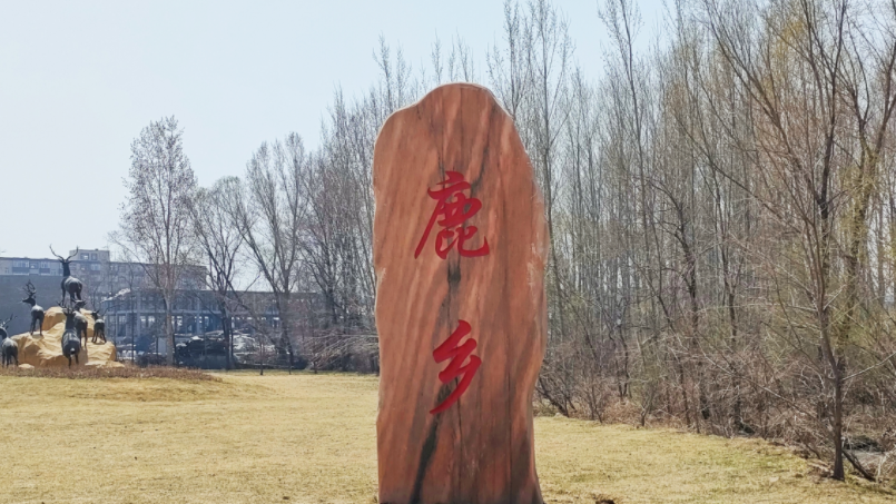 奋斗百年路 启航新征程 同心奔小康丨“杨姐”家的致富“鹿”