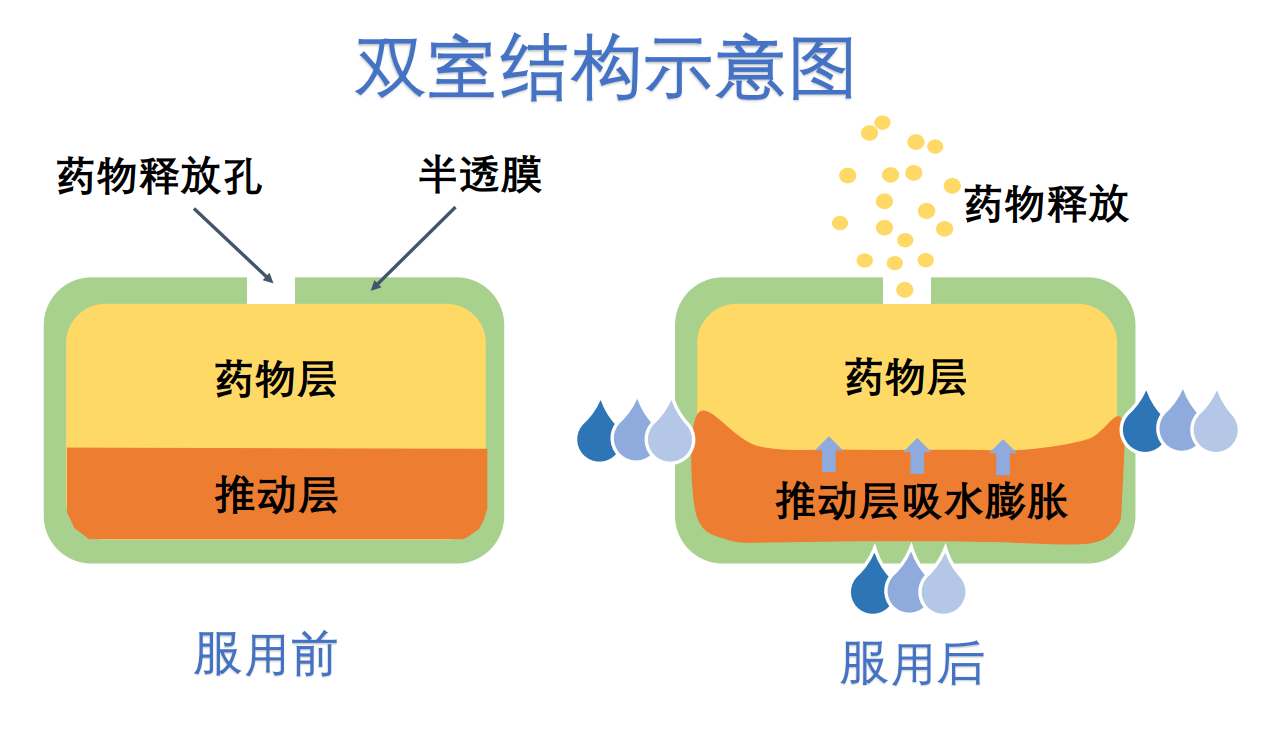 青岛骄傲青岛市高新技术企业百洋制药自主研发的高端制剂硝苯地平控释