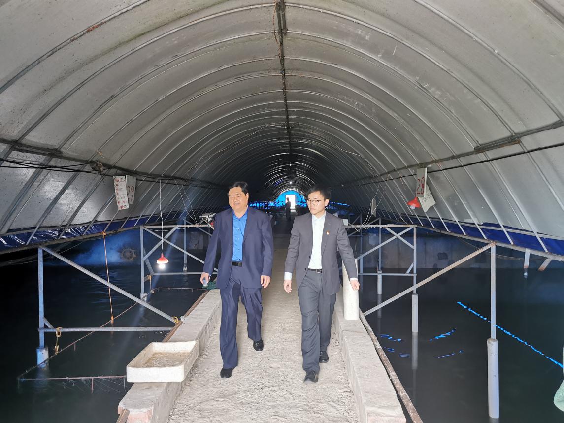 客户经理调查企业鳗鱼养殖车间