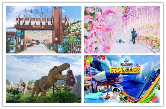 走进定西 畅游“国色天香紫斑牡丹”之旅