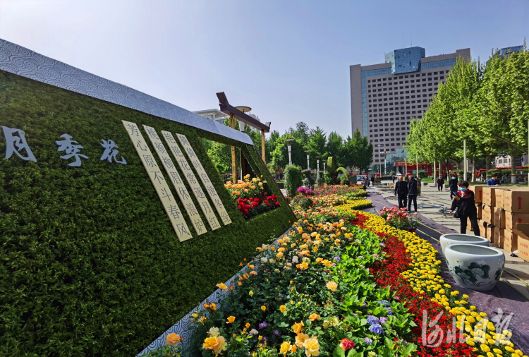 人民广场展出展出“百年红船”、“笔墨纸砚”、“邮寄思念”等8个主题花坛。西清公园展出“繁华似锦”、“百变魔方”等8座立体花坛。河北日报记者田明摄
