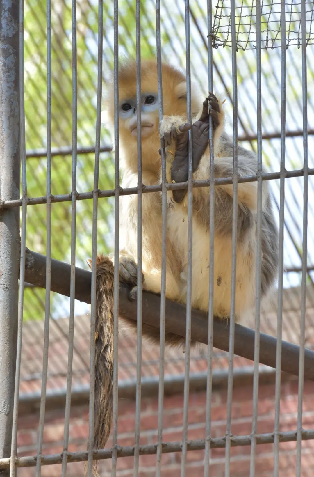 武威美景hin撩人 旅游达人带你走进这些“神仙景点”
