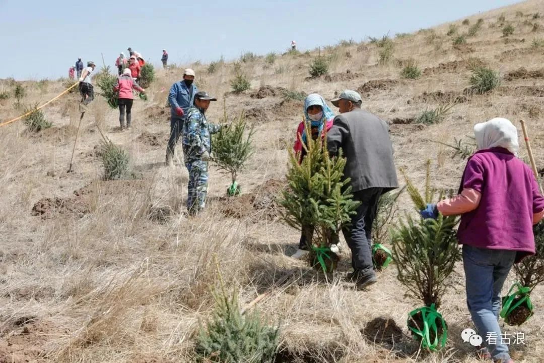武威古浪新一轮退耕还林还草工作全面铺开