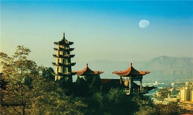 走进定西 畅游“国色天香紫斑牡丹”之旅