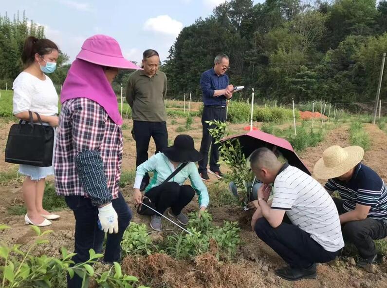 江西省林业局：我为群众办实事 件件有着落