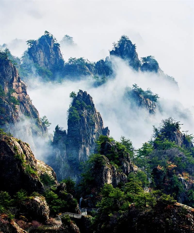 ▲老君山 峰林之间，一步一景，移步换景，风景如画，因此被称为“十里画屏”，也被誉为“北国张家界”。 图源/网络