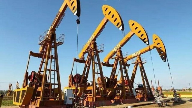 专家：阿拉伯世界的经济结构非常畸形，贪污腐败极为严重