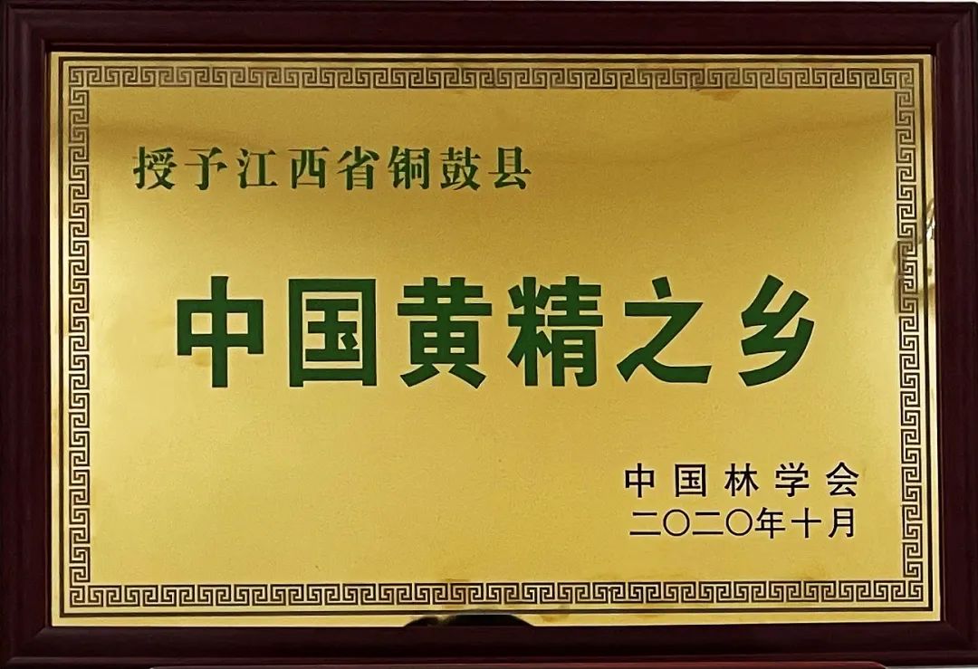 铜鼓：黄精之乡