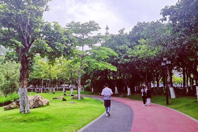 在湖边跑步健身的年轻人