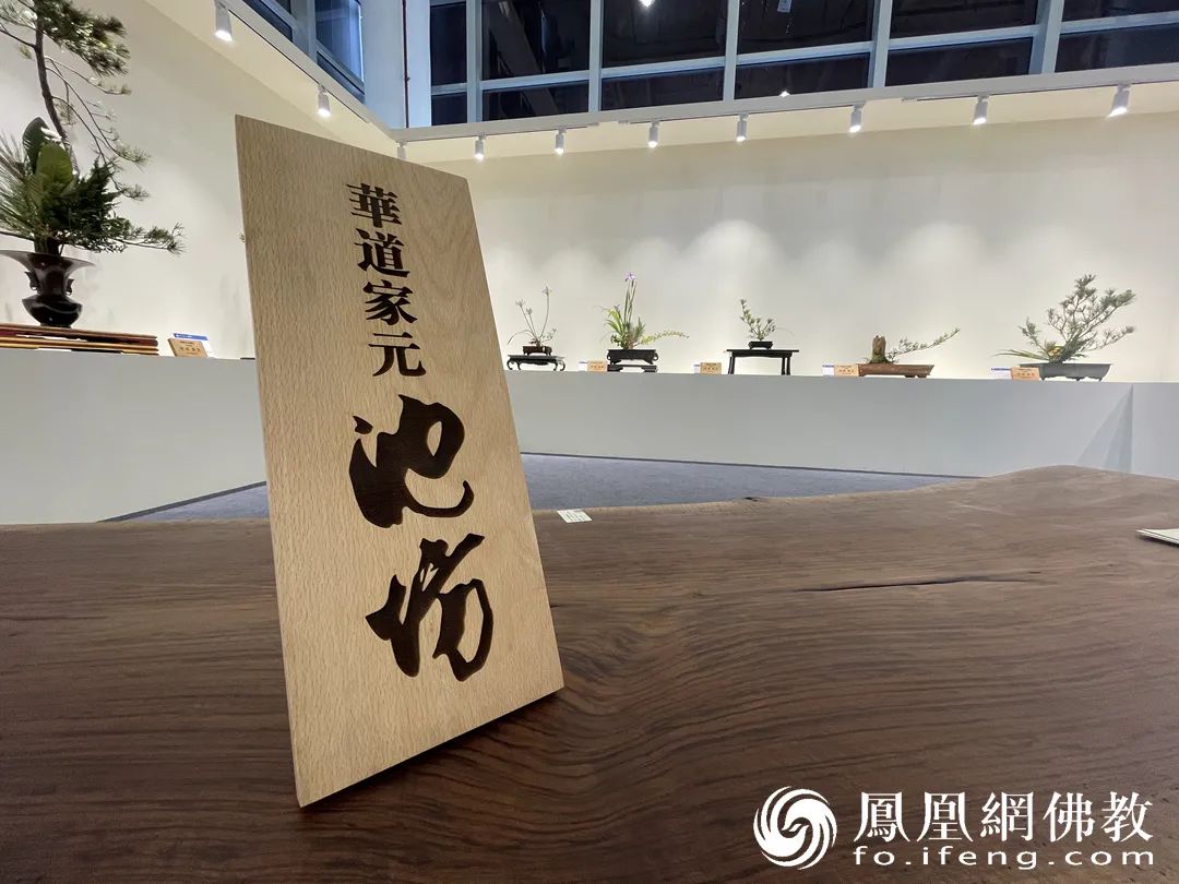 華道家元池坊（图片来源：凤凰网佛教 摄影：徐上杰）