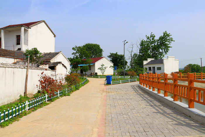 和县善厚镇昔日龙须沟今朝风景塘